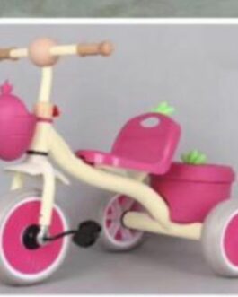 Velo 3 roues plusieurs modeles disponibles