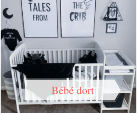 BB DORT